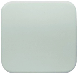 2506-212, Rocker for Switches and Push-Button Switches, Busch-Jaeger