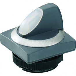 1.30.272.077/2200, Selector switch, 2 x 40deg 22 mm Momentary function, RAFI
