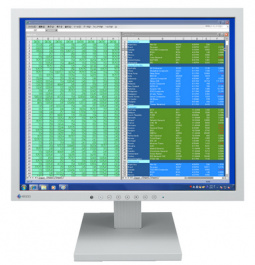 S1703T grey, FlexScan TFT, Eizo