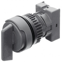 A029303, Rotary switch, APEM