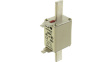 100NHG02B Fuse link 100 A NH02