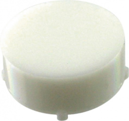 704.608.9, Text Cap, eao 14, EAO